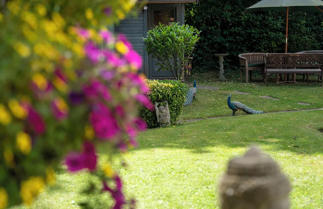 Marlborough House - Guest House-1
